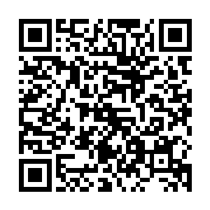 地上还坐着一个三级灵仙呢――就算注意到了也无所谓二维码生成