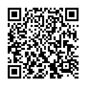地上还散乱着各种人体内脏……而旁边蹲着一个美艳的年轻美女二维码生成