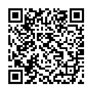 地下世界的那个人头悬赏榜是由各大联盟联合组织的二维码生成
