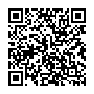 地下的土壤也会因为地灵走过而产生一些细微的变化二维码生成