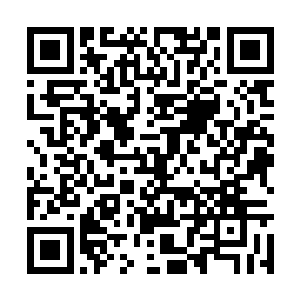 地仙六重天巅峰的全力一击都无法造成真正的伤害二维码生成