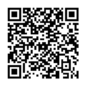 地仙域的地宫仙君不久就会派出仙使下界重订天道秩序二维码生成