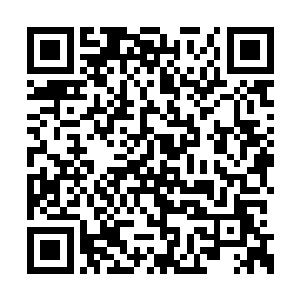 地区那边怕是要借这个机会好好清理整顿一下吧二维码生成