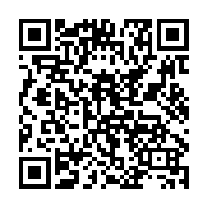 地尊中期气剑的威能已经超出了独步能够承受的范围二维码生成