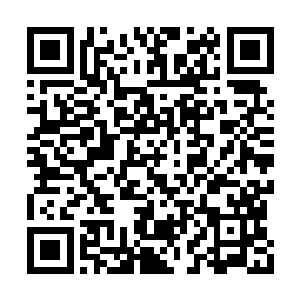 地心之炎和幽冥火从林烽的身体之中窜升了出来二维码生成