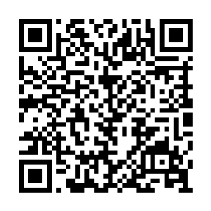 地板上的那根树枝忽然悄无声息地变得焦黑起来二维码生成