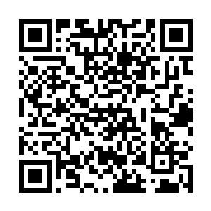 地河与飞雁湖的连接处的洞口就在那片水草和乱石之中二维码生成