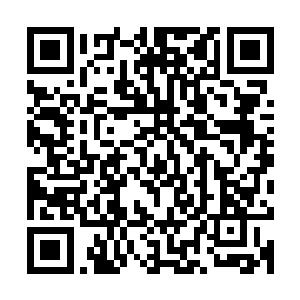 地灵族族长心中真不相信燕山魂会用八块仙晶就改变了他的仙阵二维码生成