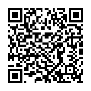 地煞族里竟然涌现出了不下十万名掌握超卓武技二维码生成
