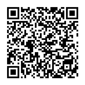 地球修真界在这个年龄能修炼到第二境界的人还真只有太清宫少宫主二维码生成