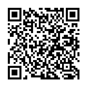 地球意志希望将引擎的输出功率保持在合理的限度之内二维码生成