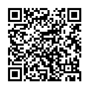 地球意志必须将觉醒者的反抗控制在一个合理的限度之内二维码生成