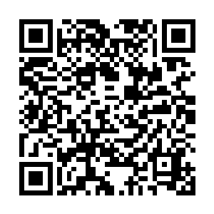 地球意志感知到了红极星源源不断扩散出来的神魂涟漪二维码生成