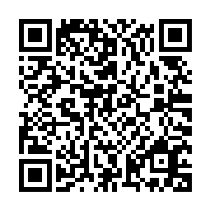 地球星兽肉市场一直都受到星光冒险团和斧头佣兵团的控制啊二维码生成