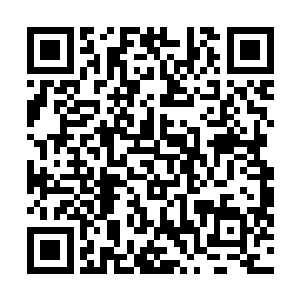 地球星兽肉市场就被星光冒险团和斧头佣兵团给控制住了二维码生成