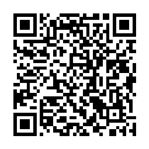 地皮和地爬两人视线从那些正忙活着抓地睛的人身上挪开二维码生成