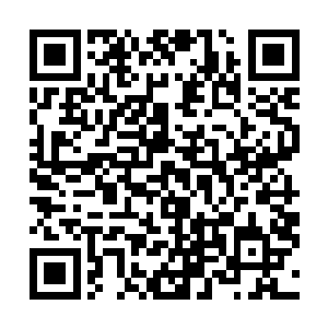 地窖里也藏了不少粮食和酱鸡酱鸭以及数缸上好的女儿红二维码生成