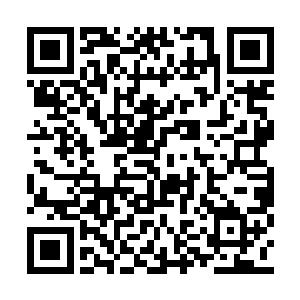 地精母艇的虚拟灵魂显示出了对手的形态和数据二维码生成