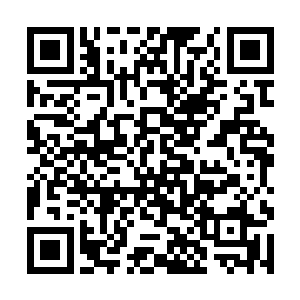 地藏王与正法明如来依旧静静地注视着天空中的激战二维码生成