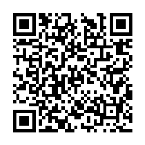 地震门的那些人认为红虎这就是对他们最大的侮辱二维码生成