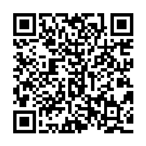 地面上也就不停地呈现深红到仿佛一切都没有发生过的这个过程二维码生成