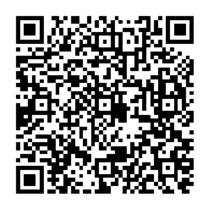 地面上无数沾满鲜血的精钢弩箭和大大小小的碎石仿佛受到了一股神秘力量的控制二维码生成