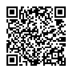 地面上无数蜘蛛网一般的裂纹正在快速的冲着四周蔓延着二维码生成