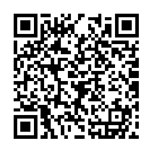 地面上满是一些金属碎片和傀儡的零件之内的东西二维码生成
