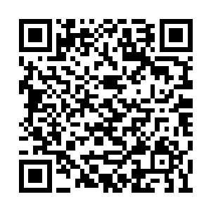 地面上的碎玻璃和被踩扁的草莓也被清理干净了二维码生成