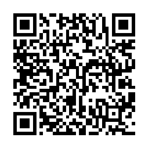 地面上的魔族修士在仙符的暴虐下已经完全没有了抵抗力二维码生成