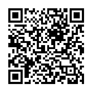 地面上那密密麻麻宛如野兽一样的魔化傀儡的身影二维码生成