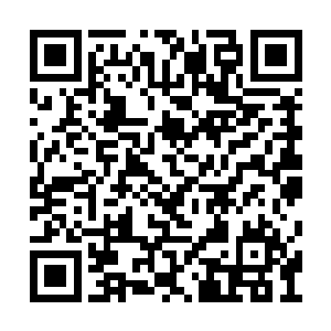 地面上那干硬的泥土已经裂开了蜘蛛网般的裂缝二维码生成