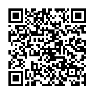 地面就散发出一道道令人恶心的腥臭和充满死寂的光芒二维码生成