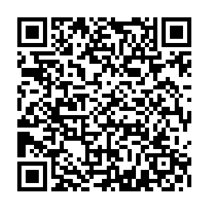 地面工人们正忙着从已经降落的运输船上卸下大量的建筑材料和其它物资二维码生成