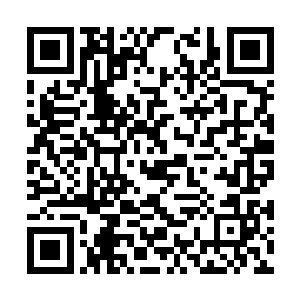 场上几乎所有人的视线都集中到苏落和苏夫人身上二维码生成