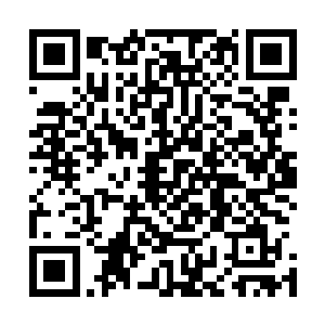 场上的众人在感受到这不同寻常的变化后就不由得变了脸色二维码生成