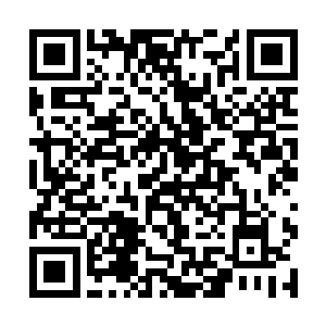 场中的正在激烈对战的仙人们被神秘的力量强行分开二维码生成