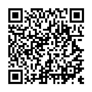 场中瞬间只剩下一朵恐怖的遮天般的恐怖的黑色的巨莲二维码生成