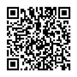 场外的围观群众们都不由的为这位曜日军团的团长掬一把同情泪二维码生成