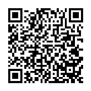 场馆在很大程度上也是拳赛规格和主赛拳手知名度的一个标志二维码生成