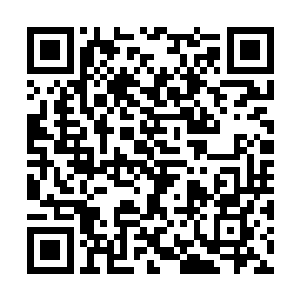 坏事就是……今日我打算训练你们的野外求生能力二维码生成