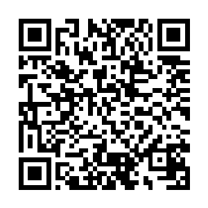 坐在一旁沙发上的叶海凝就这样托着脸颊斜眸看着他二维码生成