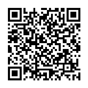 坐在一旁的兰姬看着孩子偷偷抹眼泪的样子着实有些心疼二维码生成