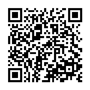 坐在一边的程远航假装没看到老连如调色板一样的脸二维码生成