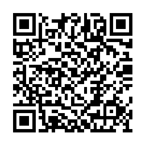 坐在上首位置的是一个身穿白色西装的中年胖子二维码生成