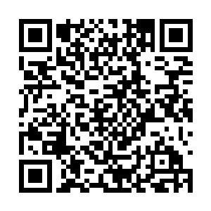 坐在他旁边的龙鑫脸上也出现了招牌似的憨厚笑容二维码生成