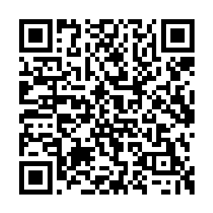 坐在会议桌中间一名带着眼睛的男子沉思了一下二维码生成