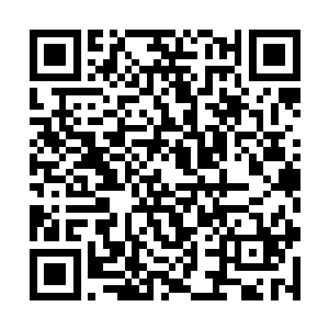 坐在俩人中间的淘宝拳则是狠狠地瞪了杀手17一眼二维码生成