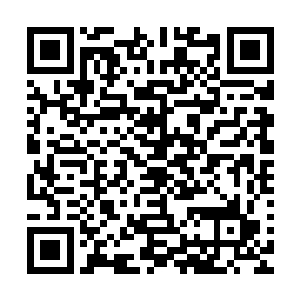 坐在前排一直默默微笑着看演唱会的市长陈露萍此时也忍不住二维码生成