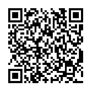 坐在前面副驾驶座上的花无俊看着两人腻歪的样子二维码生成